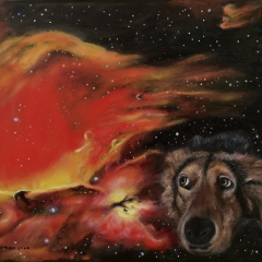 Nebula with Observer